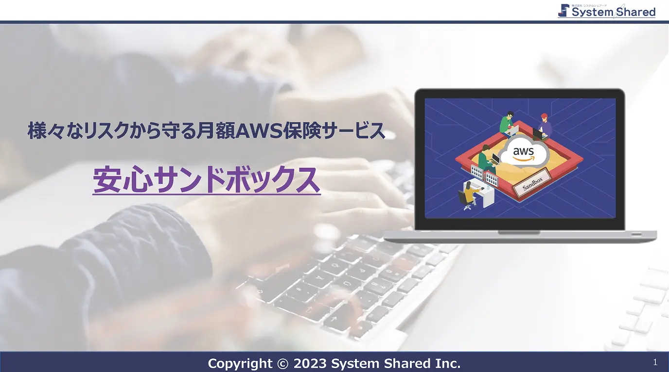 安心サンドボックス資料