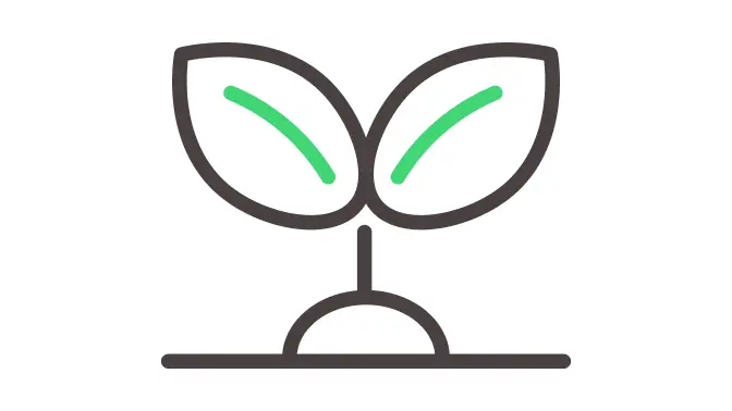 研修後のフォロー体制