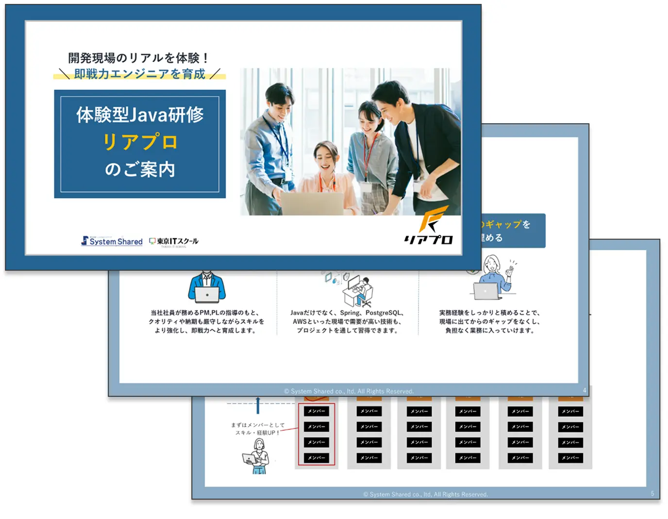 リアプロの資料をご用意しています